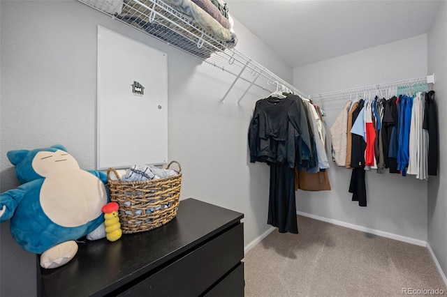 spacious closet featuring carpet flooring