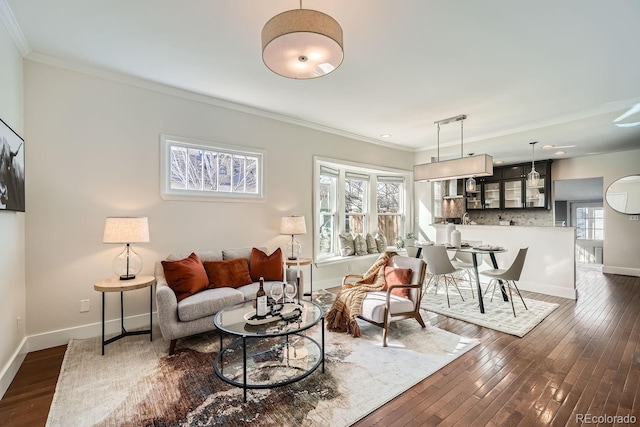 5101 Meade St, Denver, CO 80221 - living room with crown molding, plenty of natural light, and dark wood-style floors