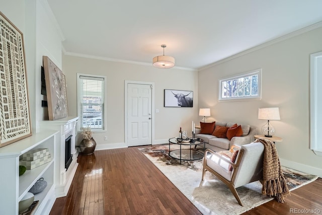 5101 Meade St, Denver, CO 80221 - living room with dark wood finished floors, baseboards, a fireplace with raised hearth, and ornamental molding
