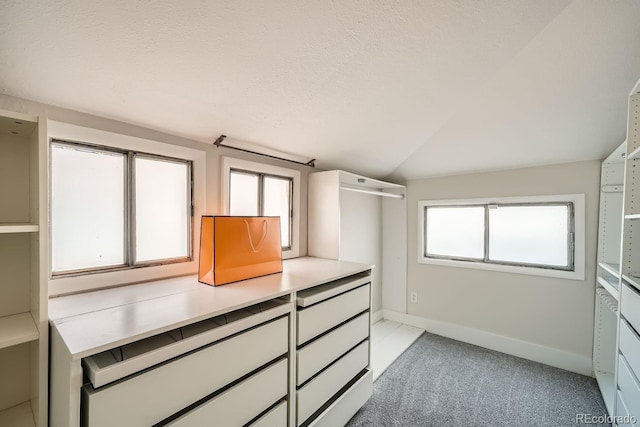 5101 Meade St, Denver, CO 80221 - walk in closet featuring vaulted ceiling and light carpet