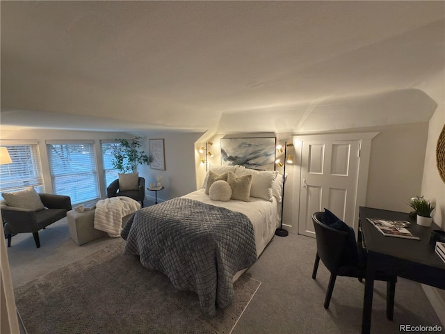 5101 Meade St, Denver, CO 80221 - view of carpeted bedroom