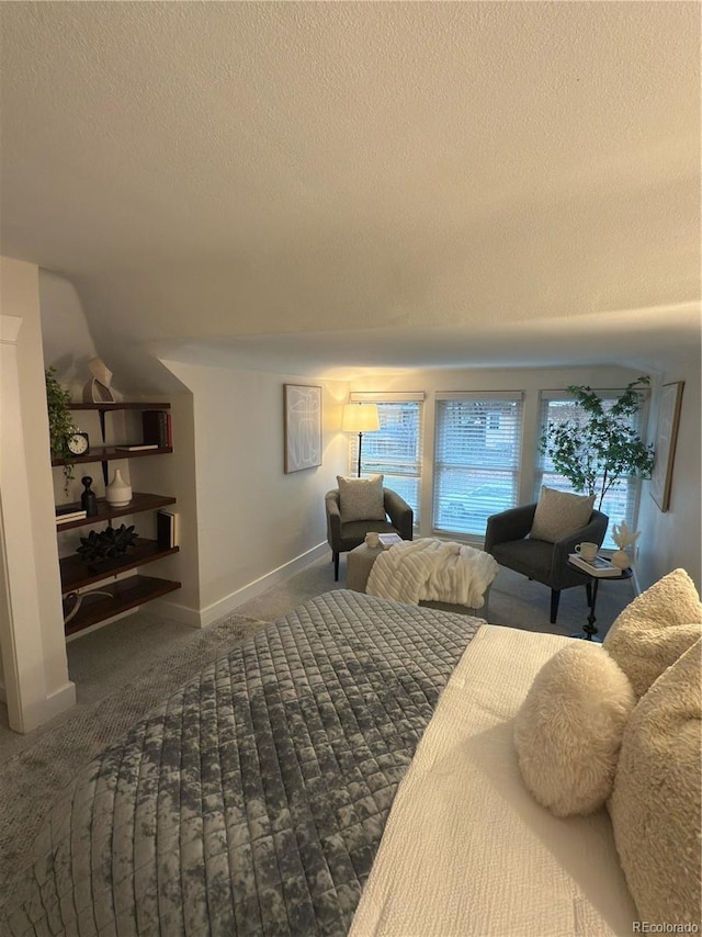 5101 Meade St, Denver, CO 80221 - bedroom with a textured ceiling, lofted ceiling, and carpet floors