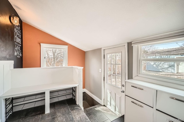 5101 Meade St, Denver, CO 80221 - doorway with baseboards, lofted ceiling, and a healthy amount of sunlight