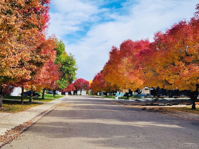 829 Sanctuary Cir, Longmont, CO 80504 - view of asphalt road featuring curbs, sidewalks, and a residential view