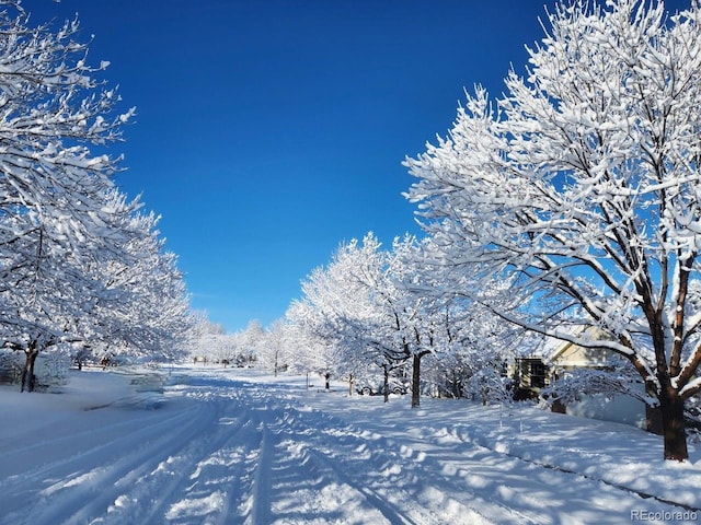 829 Sanctuary Cir, Longmont, CO 80504 - view of community