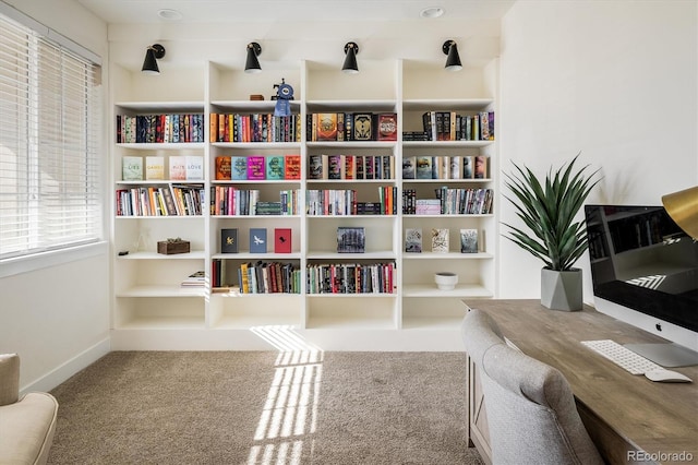 living area with carpet flooring