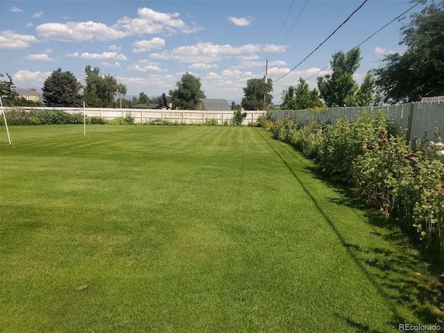 2208 Champlain Dr, Boulder, CO 80301 - photo 9