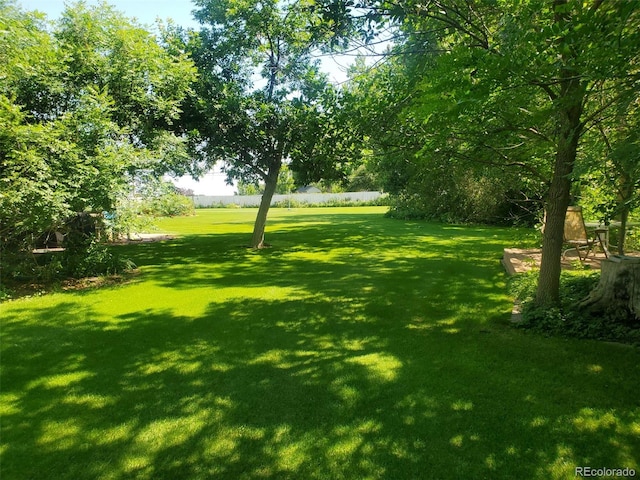 2208 Champlain Dr, Boulder, CO 80301 - photo 13