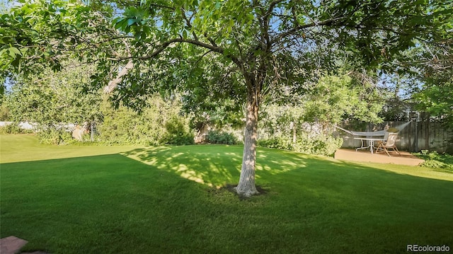2208 Champlain Dr, Boulder, CO 80301 - photo 22
