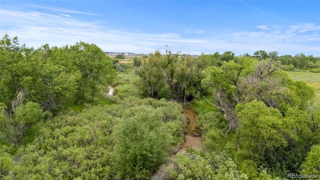 6185 Saddle Bow Ave, Parker, CO 80134 - view of undeveloped land