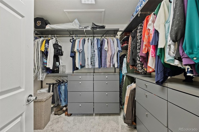 walk in closet featuring attic access and carpet