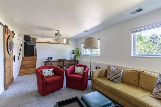 5983 W Indore Pl, Littleton, CO 80128 - carpeted living area featuring a barn door and stairs