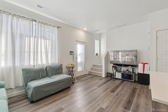 living room featuring wood-type flooring