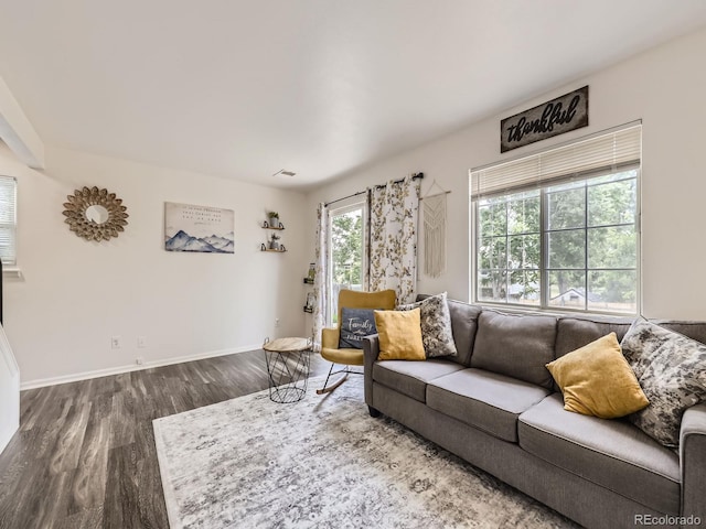 4904 E 125th Ave, Thornton, CO 80241 - living area with wood finished floors and baseboards