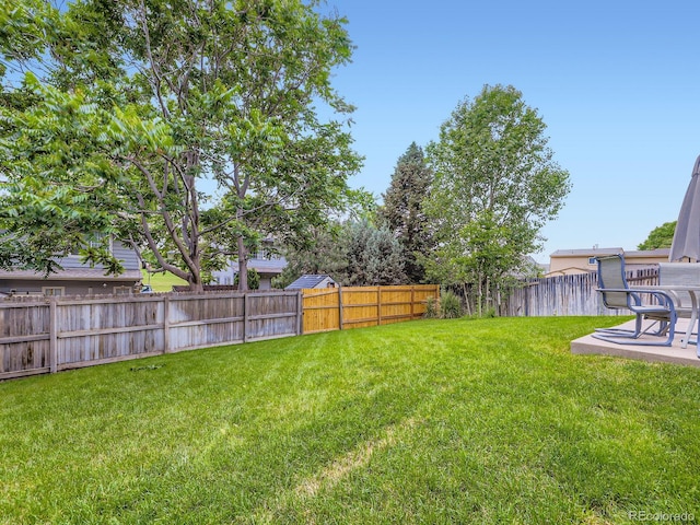 4904 E 125th Ave, Thornton, CO 80241 - fenced backyard featuring a patio