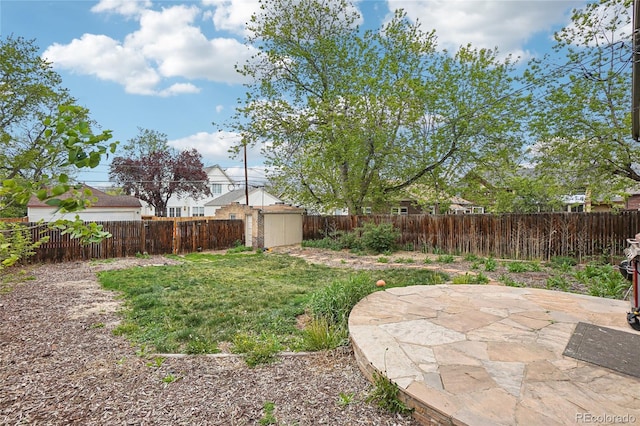 view of yard featuring a patio