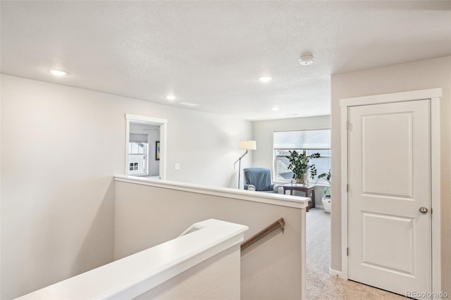 7961 Buffalo Horn Dr, Colorado Springs, CO 80925 - photo 23