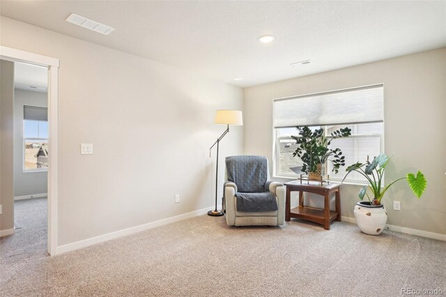 7961 Buffalo Horn Dr, Colorado Springs, CO 80925 - photo 24