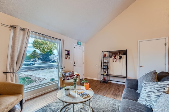 living room featuring hardwood / wood-style flooring and vaulted ceiling