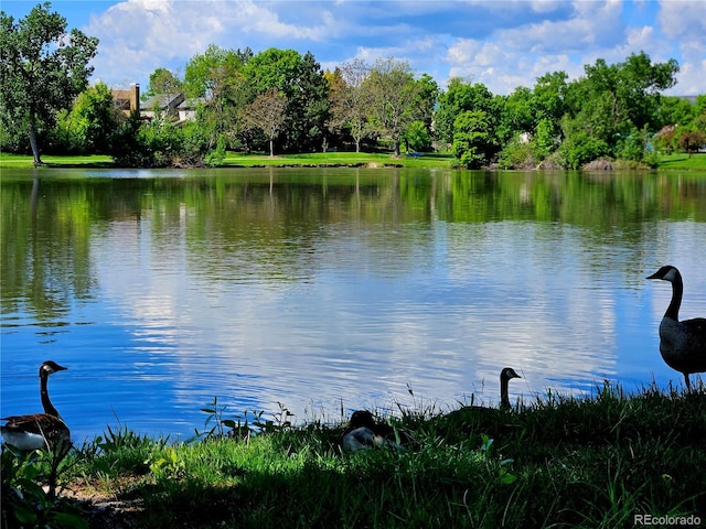 property view of water