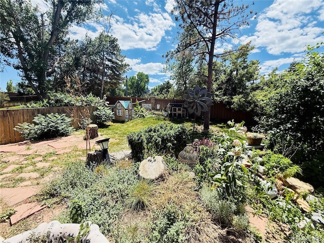1744 Brookside Dr, Highlands Ranch, CO 80126 - view of fenced backyard