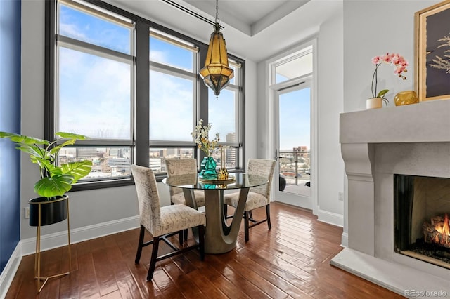 dining room featuring dark hardwood / wood-style floors