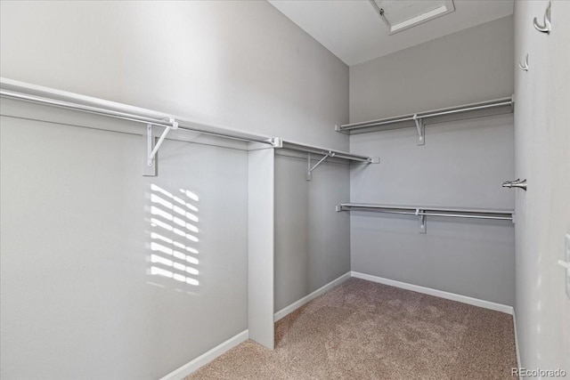 walk in closet with carpet