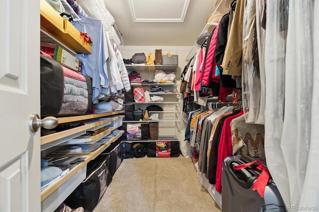 2164 S Troy Way, Aurora, CO 80014 - spacious closet with attic access and carpet floors