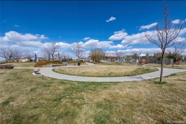 19602 E 63rd Dr, Aurora, CO 80019 - photo 3