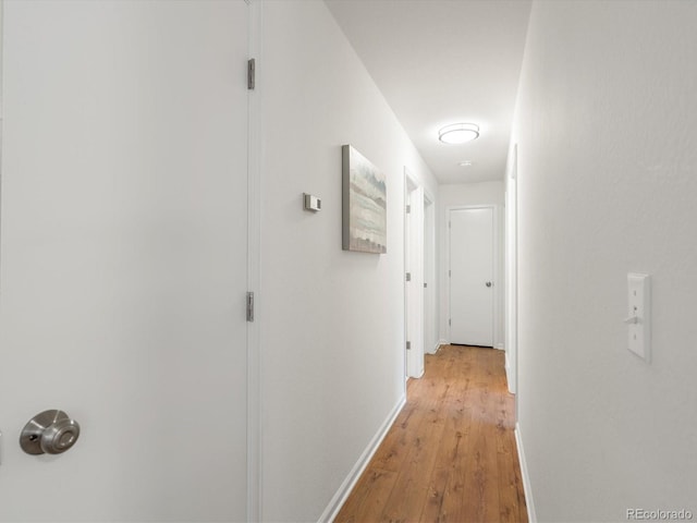 1067 E 15th Ave, Broomfield, CO 80020 - corridor with light wood-style flooring and baseboards