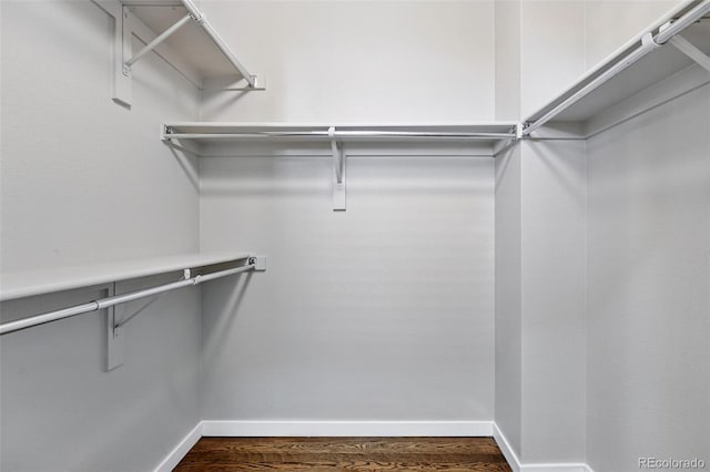 9134 E 29th Pl, Denver, CO 80238 - spacious closet with dark wood finished floors