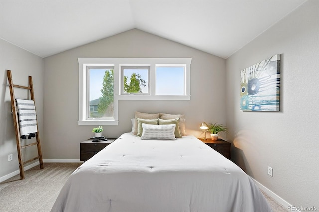 9134 E 29th Pl, Denver, CO 80238 - bedroom with carpet flooring, baseboards, and vaulted ceiling