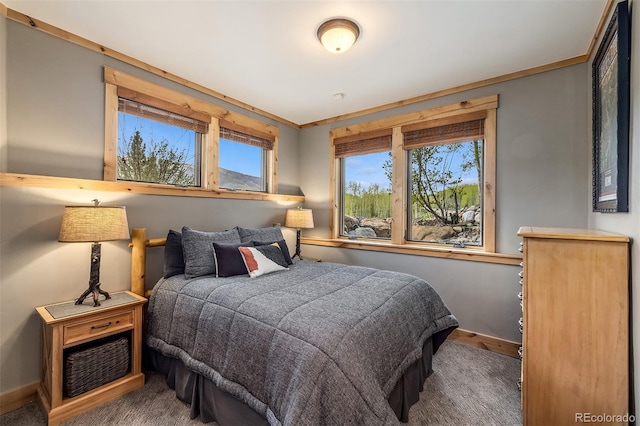 2655 Hunters Knob Rd, Silverthorne, CO 80498 - bedroom featuring baseboards