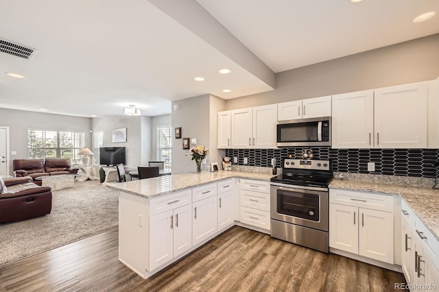 202 Ash St, Bennett, CO 80102 - kitchen featuring stainless steel appliances, a peninsula, plenty of natural light, dark wood-style flooring, and recessed lighting