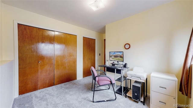 home office with carpet floors