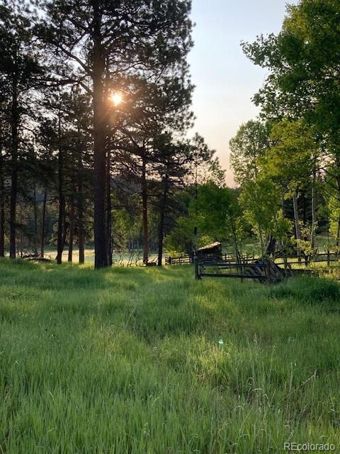 view of nature at dusk