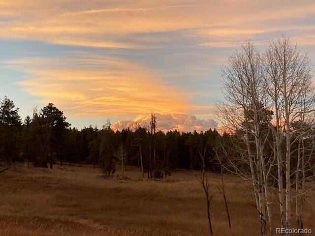 view of nature at dusk