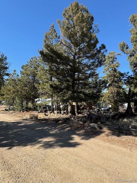 186 Lantern Loop, Hartsel, CO 80449 - photo 3