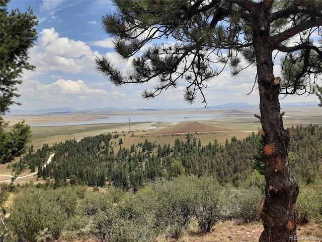 186 Lantern Loop, Hartsel, CO 80449 - photo 23