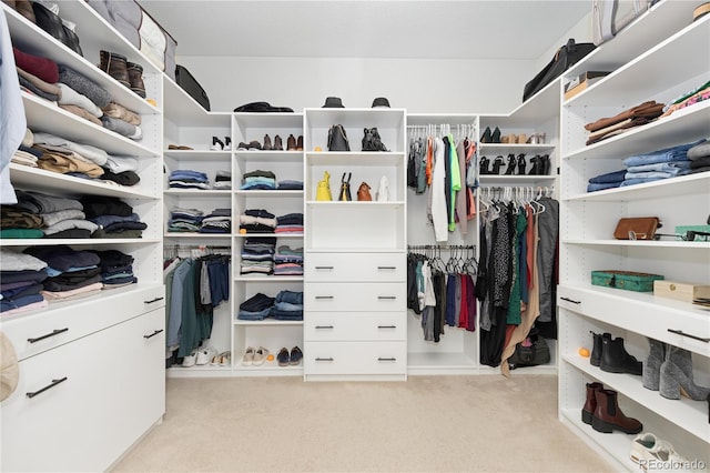 spacious closet featuring light colored carpet