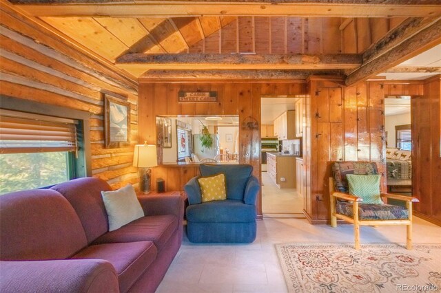 14 Gcr 4451, Grand Lake, CO 80447 - photo 5