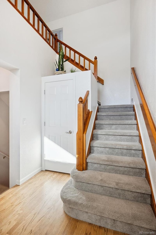 staircase with hardwood / wood-style floors