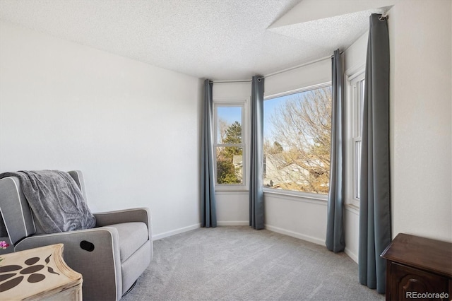 living area featuring a textured ceiling and light colored carpet