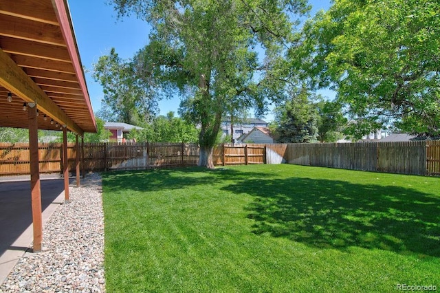 1560 Simms St, Lakewood, CO 80215 - view of yard