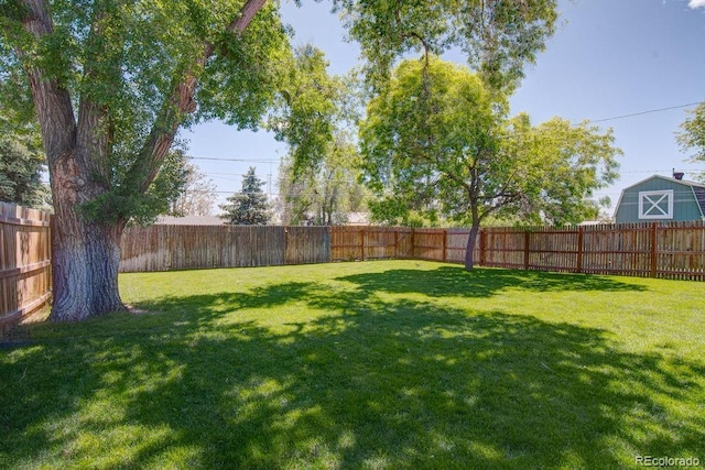 1560 Simms St, Lakewood, CO 80215 - view of yard