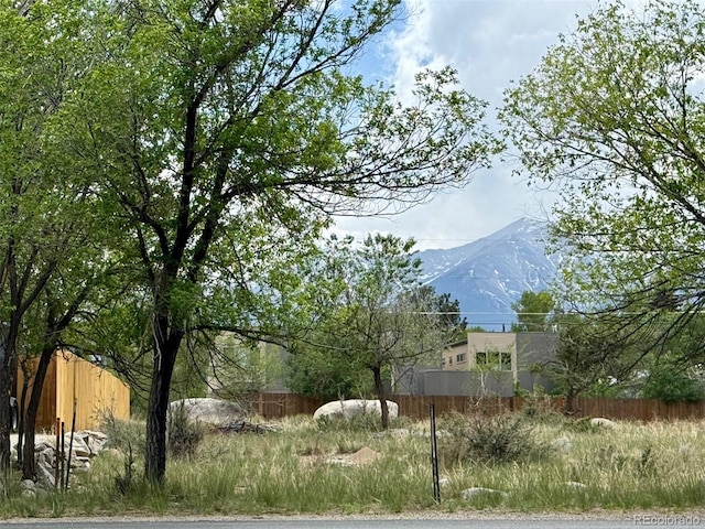 424 Arizona St, Buena Vista, CO 81211 - photo 10