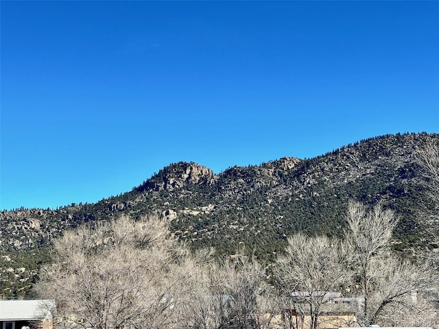 424 Arizona St, Buena Vista, CO 81211 - photo 13