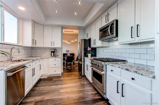 kitchen with sink, stainless steel appliances, dark hardwood / wood-style floors, a tray ceiling, and white cabinets