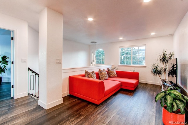 living room featuring dark wood-type flooring