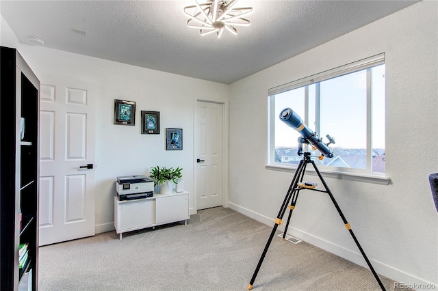 interior space with light carpet and a textured ceiling